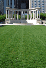 Photography Animation