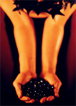 A photograph by Jill LoBianco