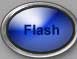 flash button