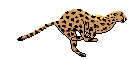 [Travel to Africa!]
